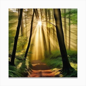 Sunrise In The Forest 35 Canvas Print