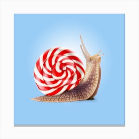 Snail Candy Square Canvas Print