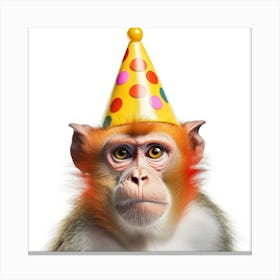 Monkey In A Party Hat 2 Canvas Print