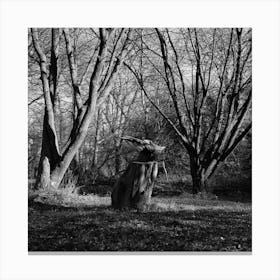 Head In The Woods Black and White Canvas Print