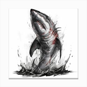 Great White Shark 1 Canvas Print