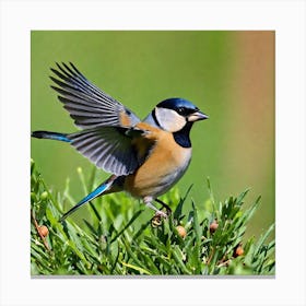 Tit on branch 7 Canvas Print