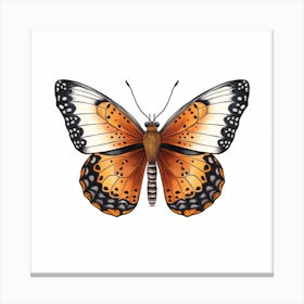 Butterfly 23 Canvas Print