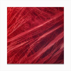 Red Fibers Canvas Print