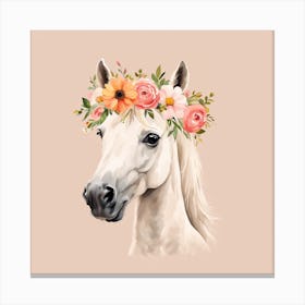 Floral Baby Horse Nursery Illustration (11) 1 Canvas Print