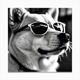 Shiba Inu 14 Canvas Print