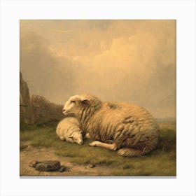 Sheeps 7 Canvas Print