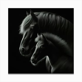 Black Horse And Foal Canvas Print