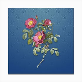 Vintage Rose of Love Bloom Botanical on Bahama Blue Pattern n.1208 Canvas Print