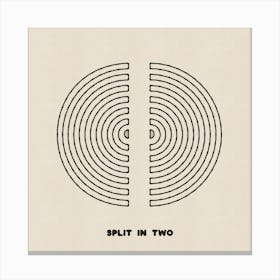 Split In Two Canvas Print