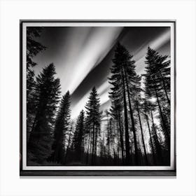 Black And White Forest Canvas Print