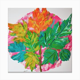 Rainbow Of Leaves Canvas Print