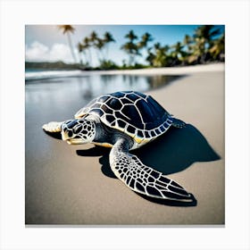 Turtle On The Beach 4 Canvas Print