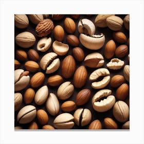 Nut Shells 1 Canvas Print