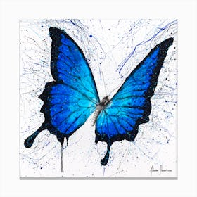Tropics Of Blue Butterfly Canvas Print