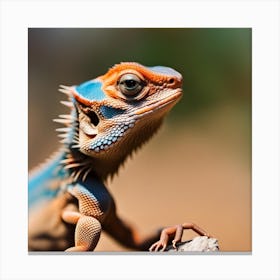 Lizard Canvas Print