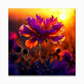 Sunset Flower Canvas Print