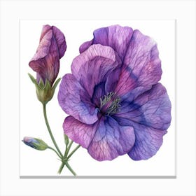 Geranium 16 Canvas Print