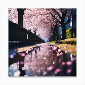 Spring Light through Cherry Blossom  Canvas Print