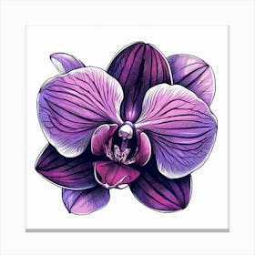 Orchid flower 3 Canvas Print