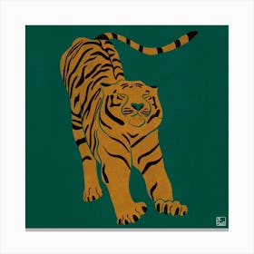Tiger Doesnt Lose Sleep Square Canvas Print