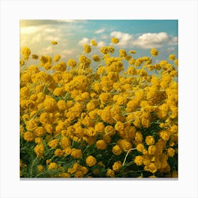 Golden Symphony A Cheerful Field Of Mustard Yellow Flowers Canvas Print