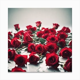 Red Roses 9 Canvas Print