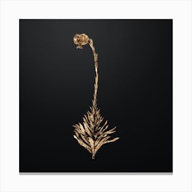 Gold Botanical Scarlet Martagon Lily on Wrought Iron Black n.4480 Canvas Print