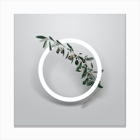 Vintage Olives Minimalist Floral Geometric Circle on Soft Gray n.0359 Canvas Print