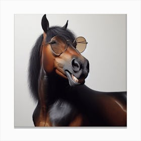 Horse With Glasses 3 Canvas Print