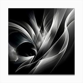 Abstract Black And White Painting 1 Canvas Print