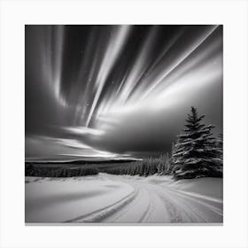 Aurora Borealis 120 Canvas Print