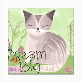 Dream Big Canvas Print