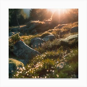 Mossy Grass And Rocks Canvas Print
