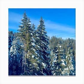 Snowy Forest Canvas Print