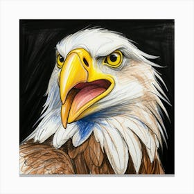 Bald Eagle 18 Canvas Print