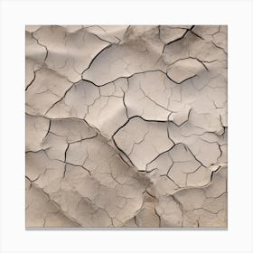 Cracked Sand 4 Canvas Print