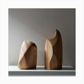 Two Wooden Sculptures Canvas Print