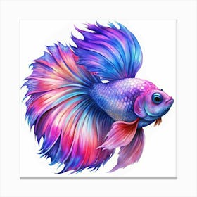 A Colorful Betta Fish With Long Flowing Fins Canvas Print