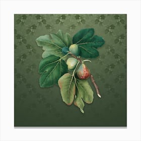 Vintage Common Fig Botanical on Lunar Green Pattern n.2554 Canvas Print
