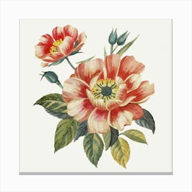 Peonies 5 Canvas Print