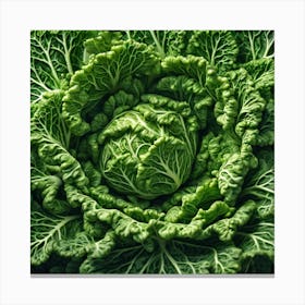 Close Up Of A Cabbage 5 Canvas Print