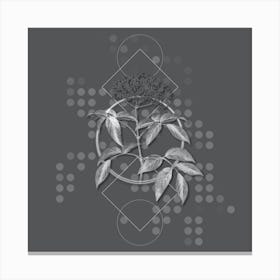 Vintage Elderberry Flowering Plant Botanical with Line Motif and Dot Pattern in Ghost Gray n.0326 Canvas Print