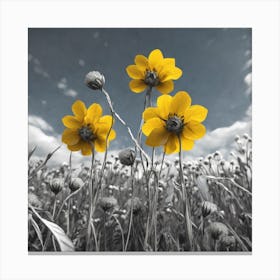 Three Yellow Flowers In A Field Canvas Print