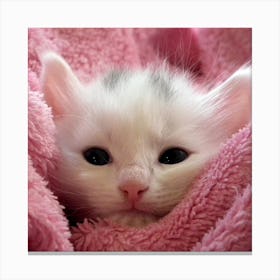 Cute Kitten Canvas Print