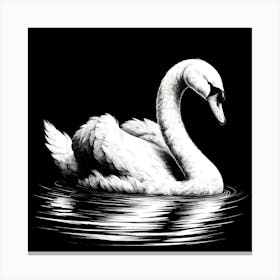 Swan On A Lake Canvas Print