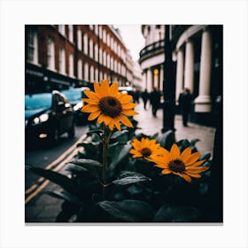 Flowers In London Photography (20) Canvas Print