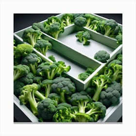 Broccoli In A Box 1 Canvas Print