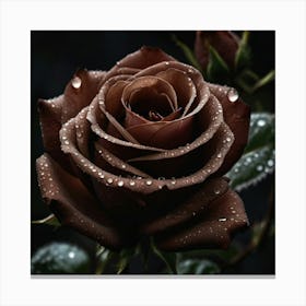 Dark Rose Canvas Print