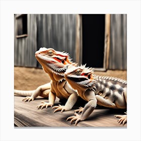 Farm Dragons Canvas Print